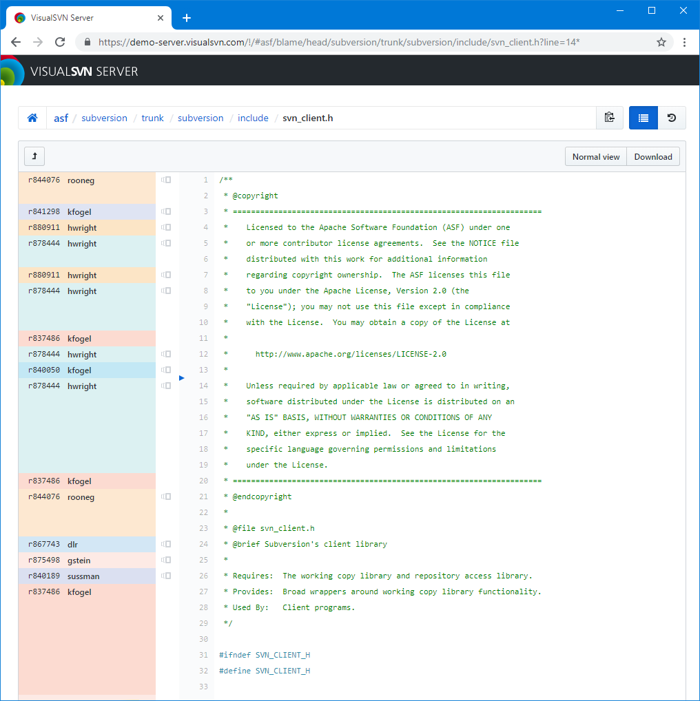 Web Interface Blame View